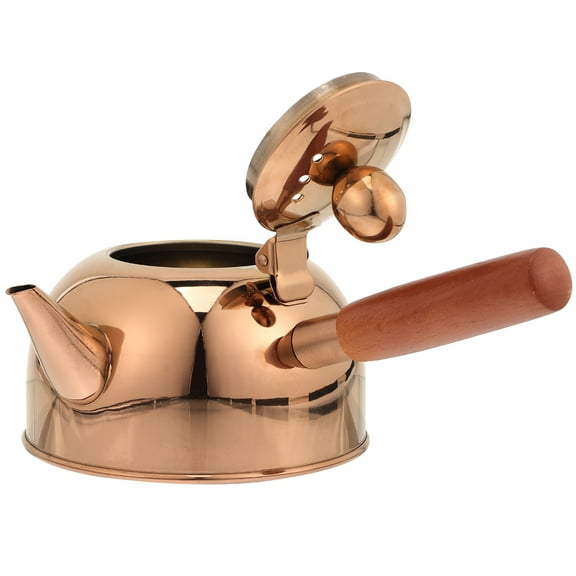 Vintage Japanese Stainless Steel Tea Set with Small Gongfu Teapot and Stove Top Kettle for Tea Brewing and Heating