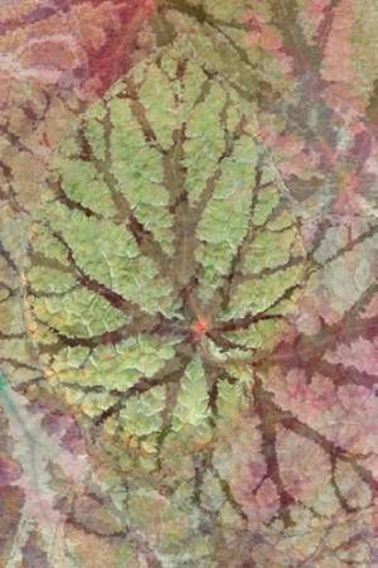 Water Leaf Canvas Art - Cora Niele (24 x 36)