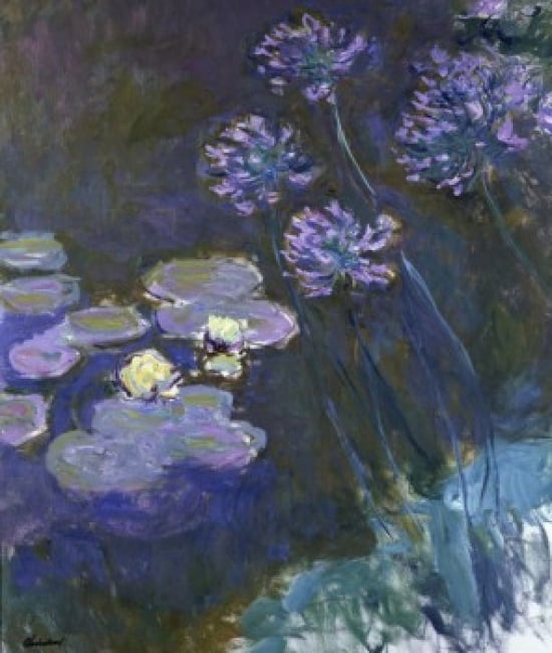 Water Lilies & Agapanthus 1914-17 Claude Monet (1840-1926 French) Oil on canvas Musee Marmottan Paris France Canvas Art - Claude Monet (24 x 36)