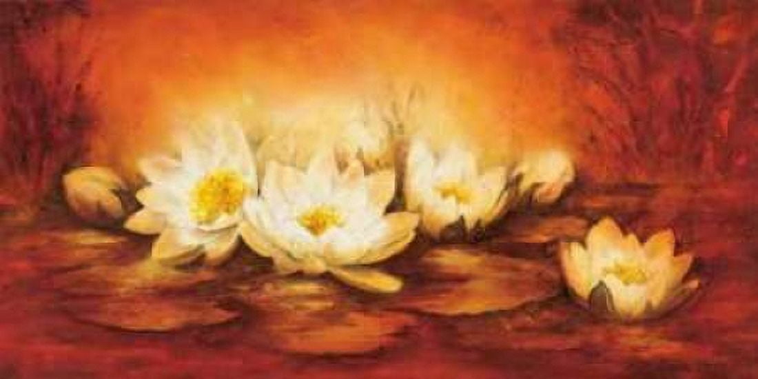 Water Lilies Canvas Art - Betty Jansma (10 x 20)