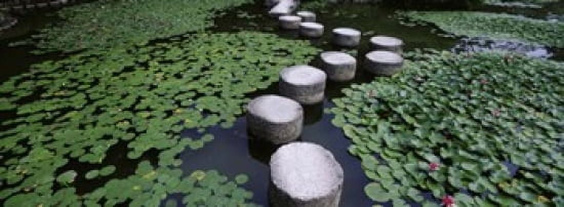Water Lilies In A Pond Helan Shrine Kyoto Japan Canvas Art - Panoramic Images (18 x 7)