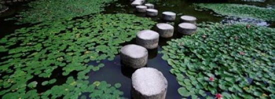 Water Lilies In A Pond Helan Shrine Kyoto Japan Canvas Art - Panoramic Images (36 x 13)