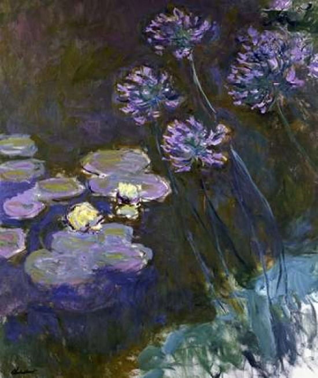 Water Lilies and Agapanthus Canvas Art - Claude Monet (24 x 24)