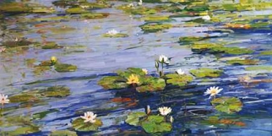 Water Lillies Canvas Art - Sally Swatland (10 x 20)