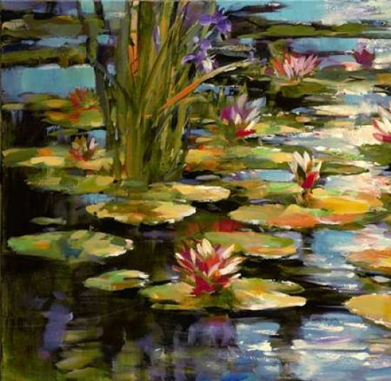 Water Lily Canvas Art - Brent Heighton (24 x 24)