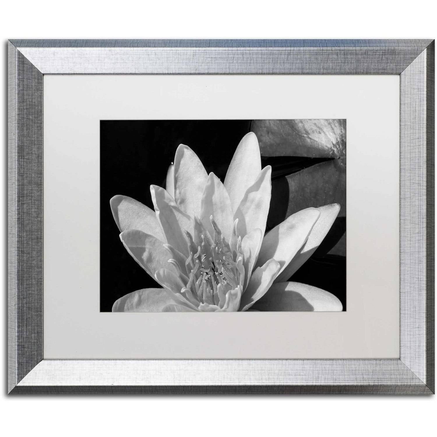 "Water Lily in Black and White" Canvas Art by Kurt Shaffer, White Matte, Silver Frame