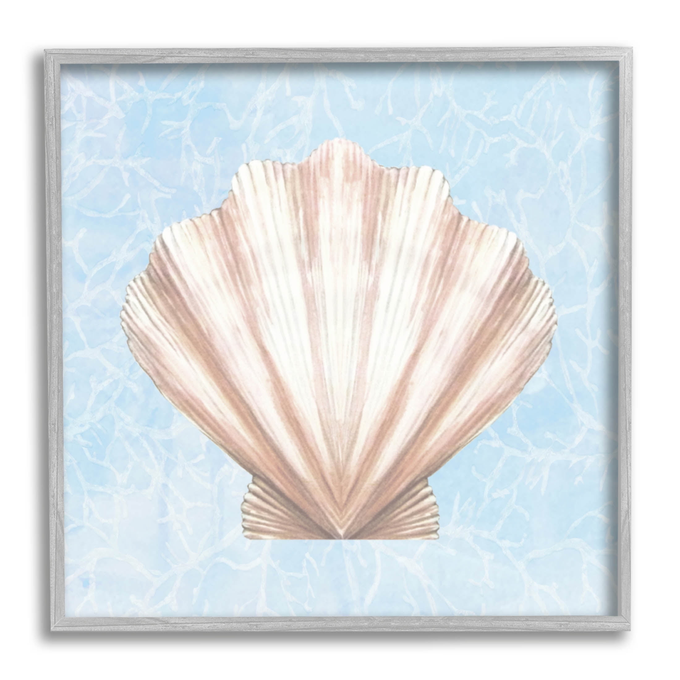 Water Pattern Aquatic Clam Shell Animals & Insects Graphic Art Gray Framed Art Print Wall Art