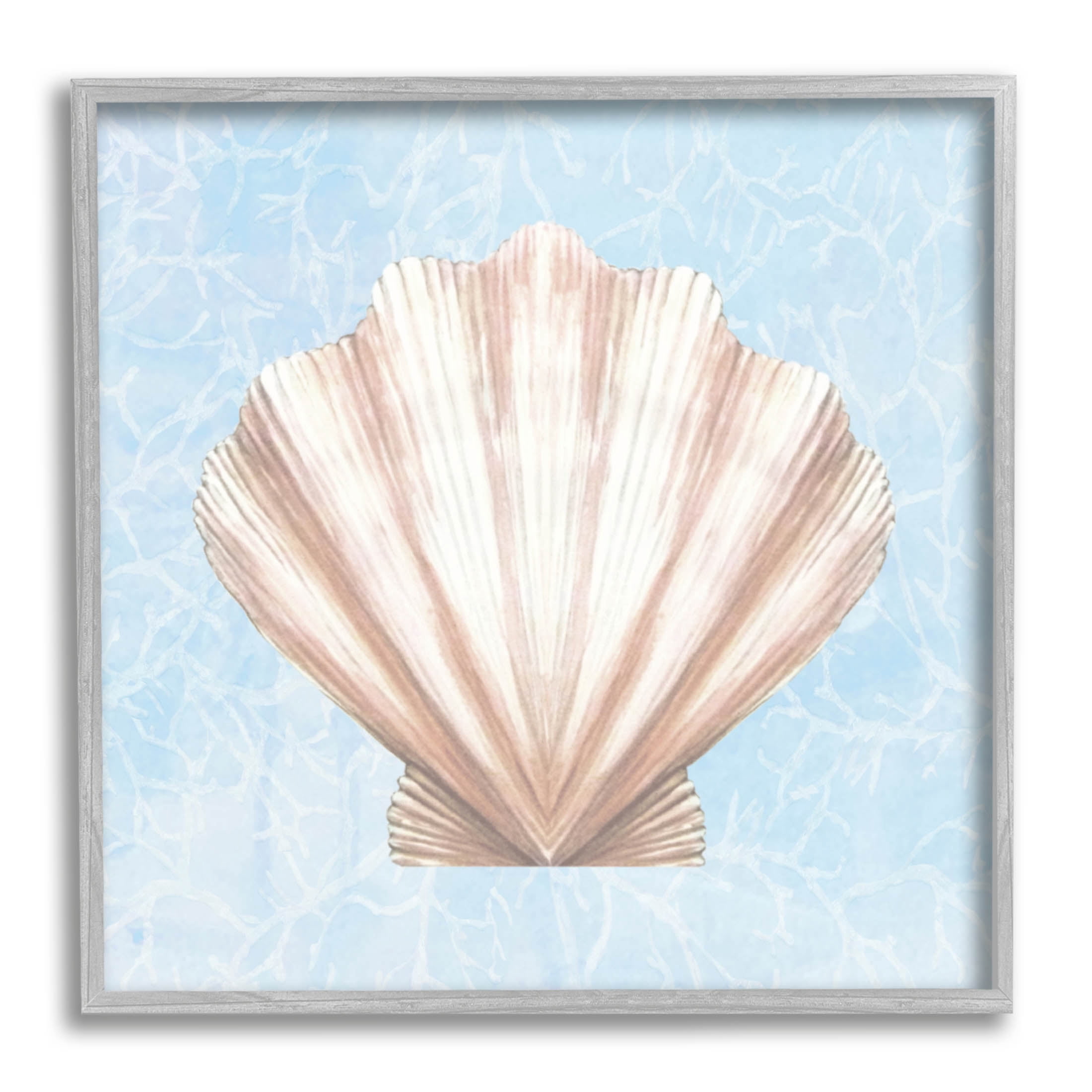 Water Pattern Aquatic Clam Shell Animals & Insects Graphic Art Gray Framed Art Print Wall Art
