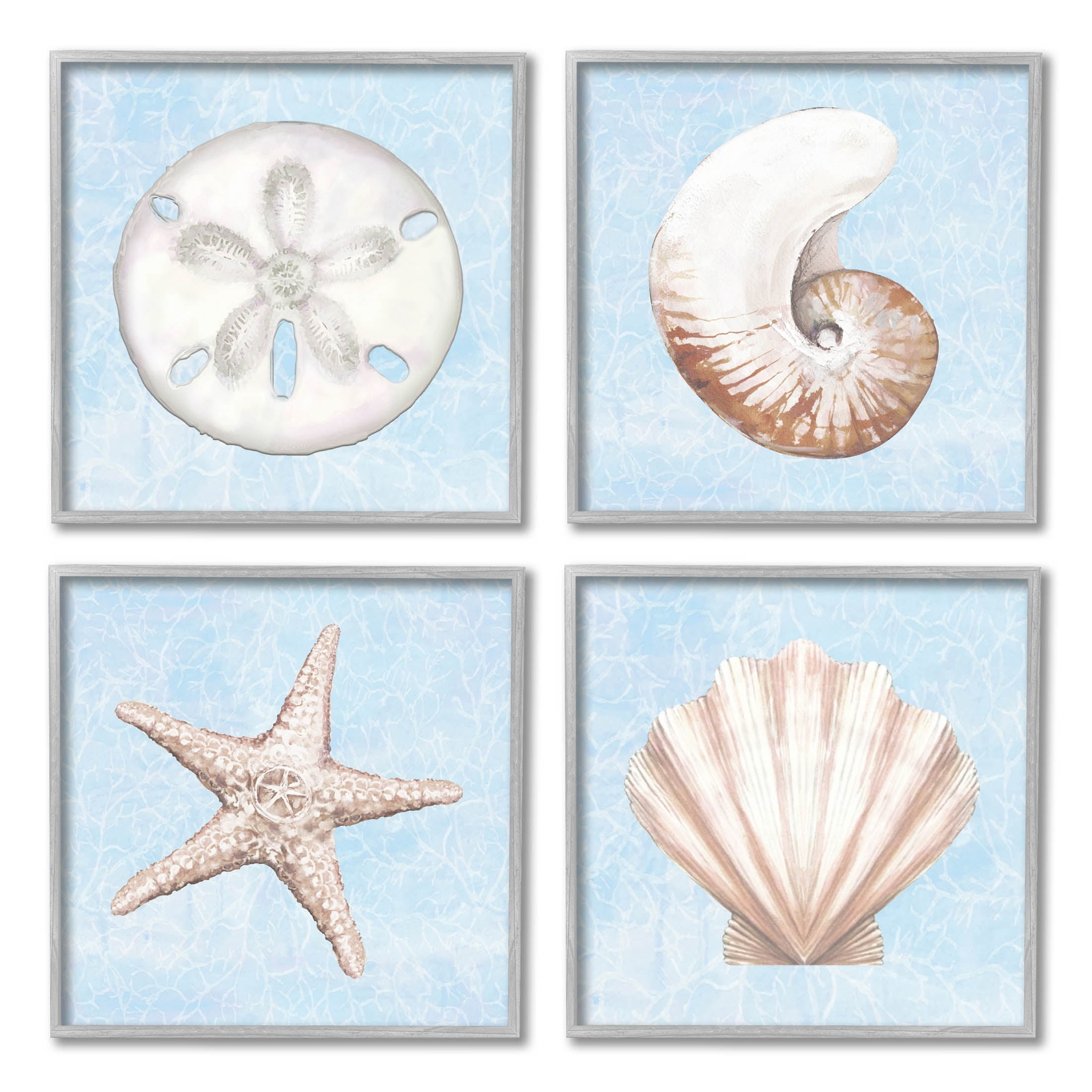 Water Patterned Sea Life Shells Animals & Insects Graphic Art Gray Framed Art Print Wall Art, Set of 4