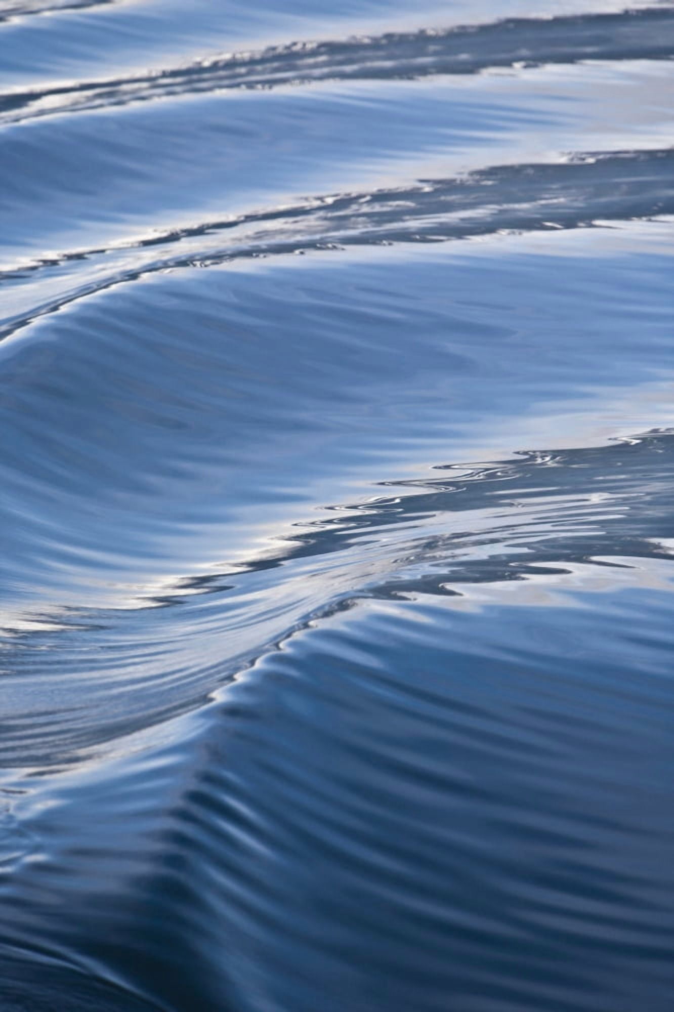Water Patterns Of Boat Wake Canvas Art - Stuart Westmorland Design Pics (22 x 36)