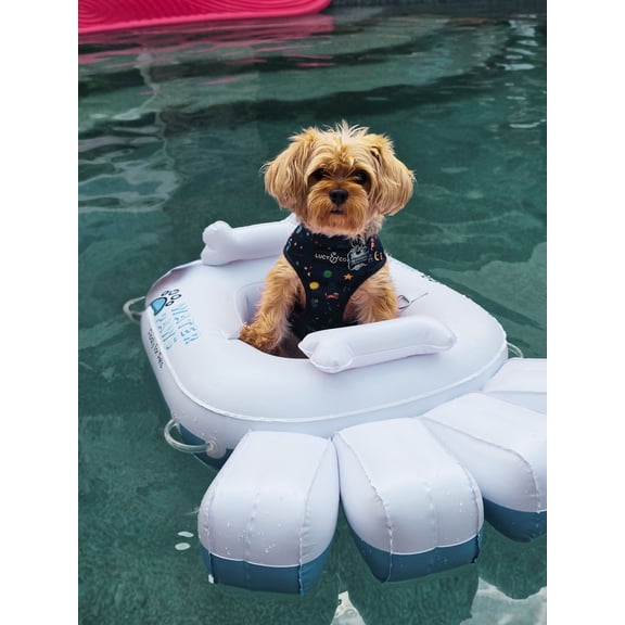 Water Paws Floaty Inflatable Dog Float - Teacup Breed Size - White/Blue
