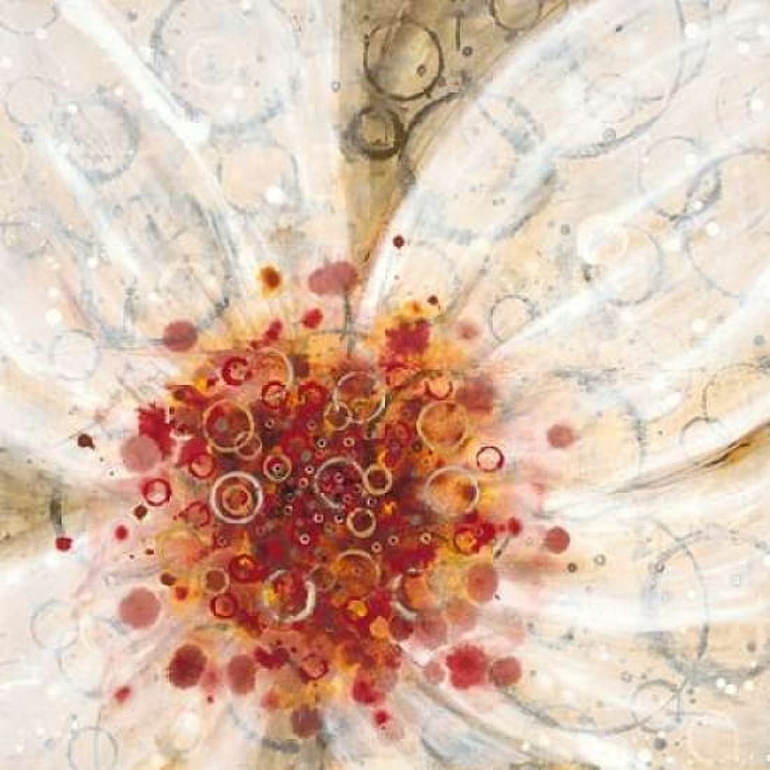 Water Poppy 2 Canvas Art - Dennis Dascher (24 x 24)