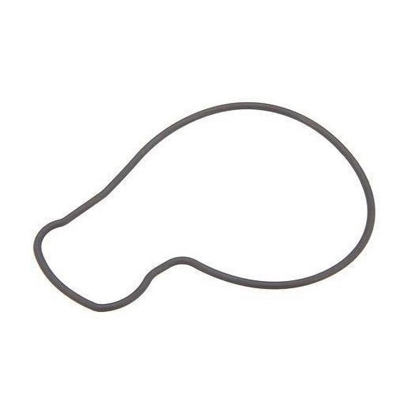 Water Pump Gasket - Compatible with 1990 - 2002 Honda Accord 1991 1992 1993 1994 1995 1996 1997 1998 1999 2000 2001