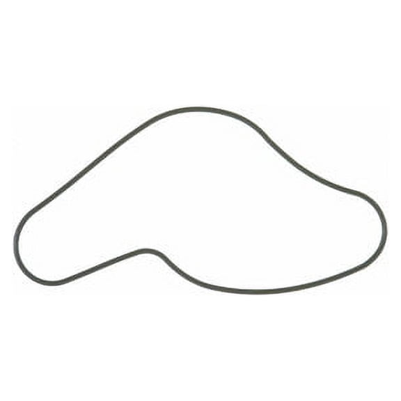Water Pump Gasket - Compatible with 2004 - 2007 Saturn Vue 3.5L V6 2005 2006