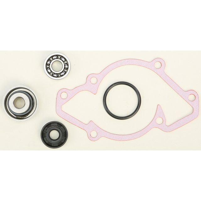 Water Pump Rebuild Kit