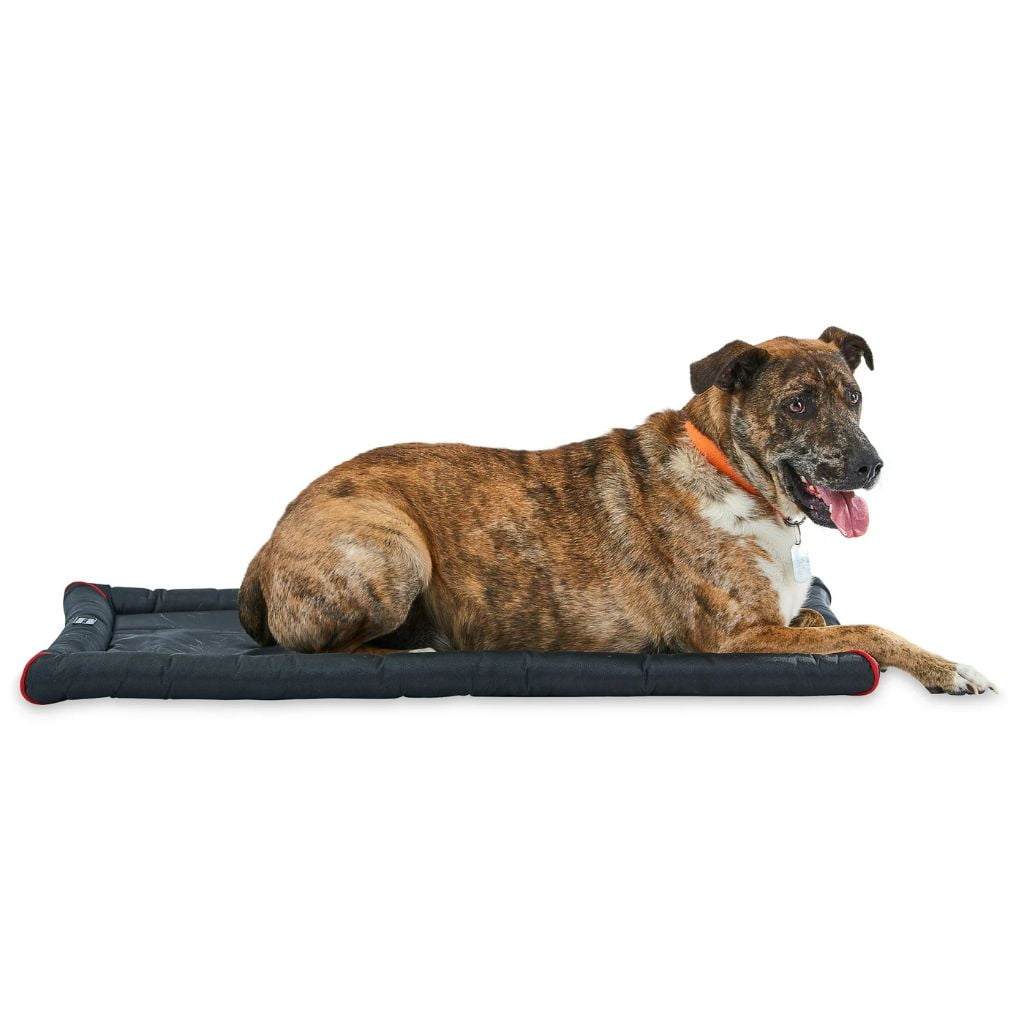 Water-Resistant Dog Crate Mat Cushion Bed, Black, 35"