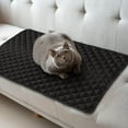 thumbnail image 1 of Water Resistant Pet Sofa Mat with Bolster Pillow Large Washable Couch Cover for Dogs Cats Non Slip Bottom Furniture Protector for Lounging, 1 of 4