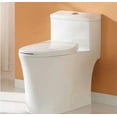 Water Ridge One Piece Toilet