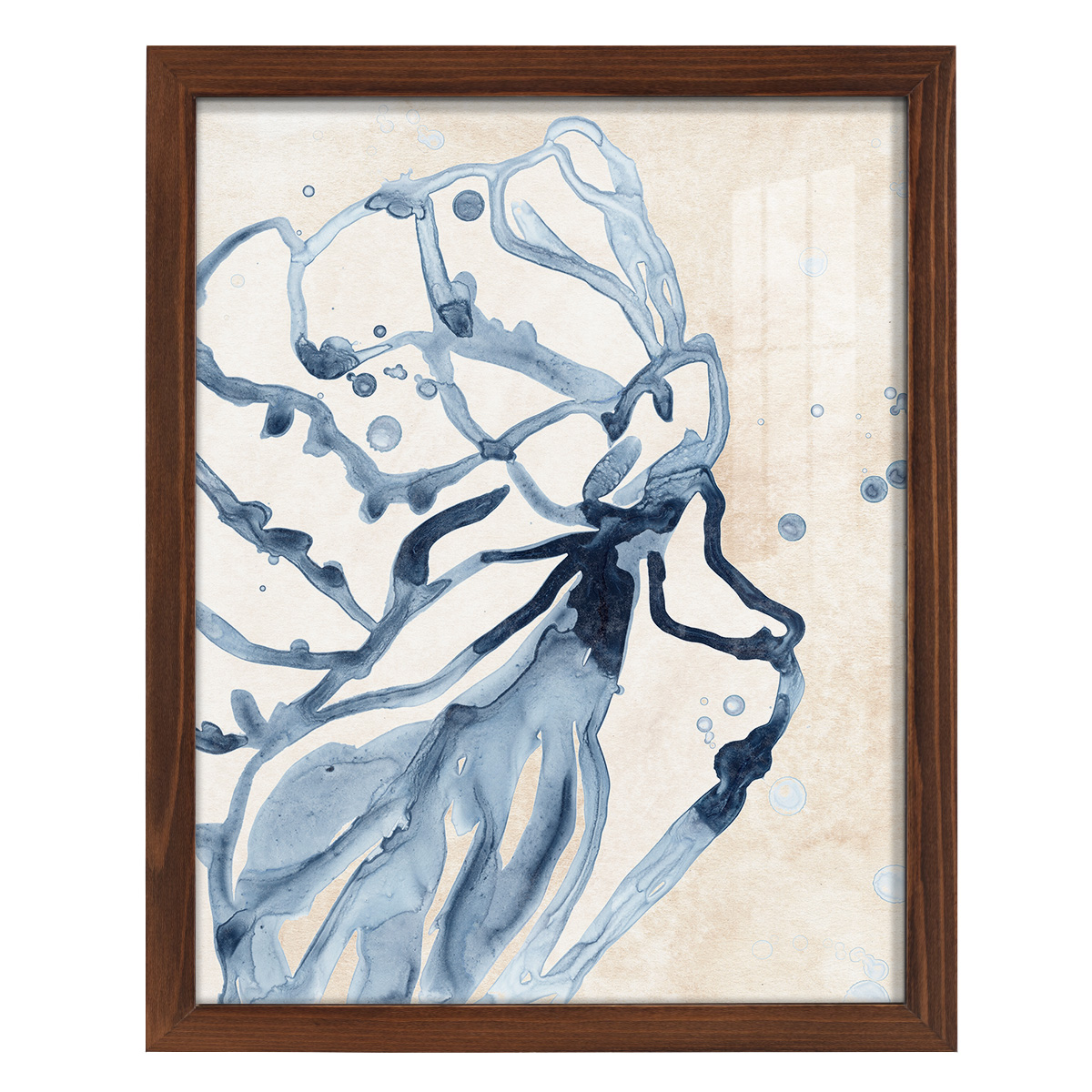 Water Shells I - Framed Print w/glass - Chestnut
