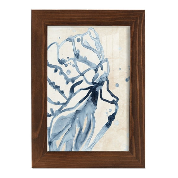 Water Shells I - Framed Print w/glass - Chestnut