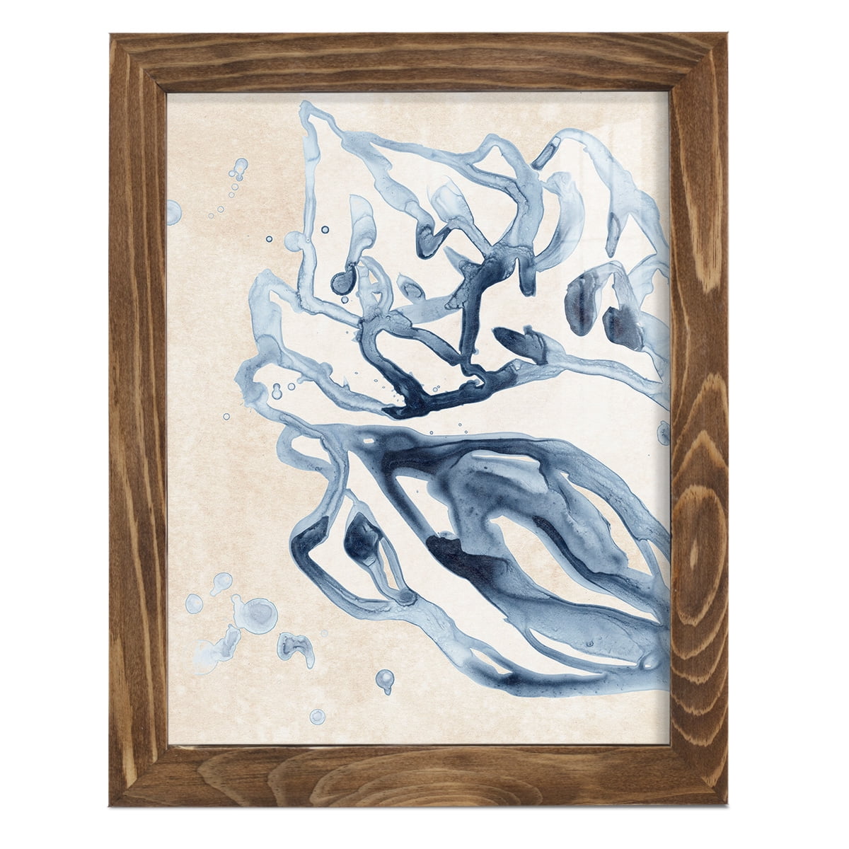 Water Shells II - Framed Print w/glass - Walnut