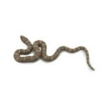 thumbnail image 1 of Water Snake, Hand Painted, Educational, Rubber Snake, Realistic Figure, Lifelike Model, Figurine, Replica, Gift, 2 1/2" SF19 B31, 1 of 7