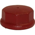 thumbnail image 1 of Water Source DC200 2 in. Cast Iron Drive Cap, 1 of 2