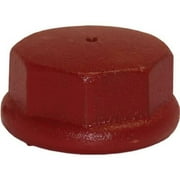 Water Source DC200 Well Point Drive Cap, Cast Iron, 2-In. - Quantity 1
