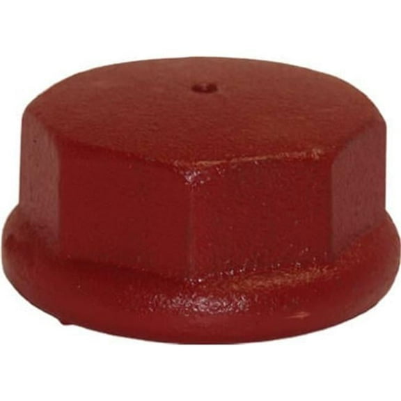 Water Source DC200 2 in. Cast Iron Drive Cap