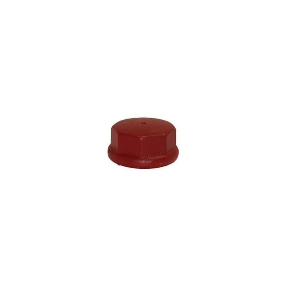 Water Source DC200 Well Point Drive Cap, Cast Iron, 2-In. - Quantity 1
