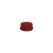 Water Source DC200 Well Point Drive Cap, Cast Iron, 2-In. - Quantity 1
