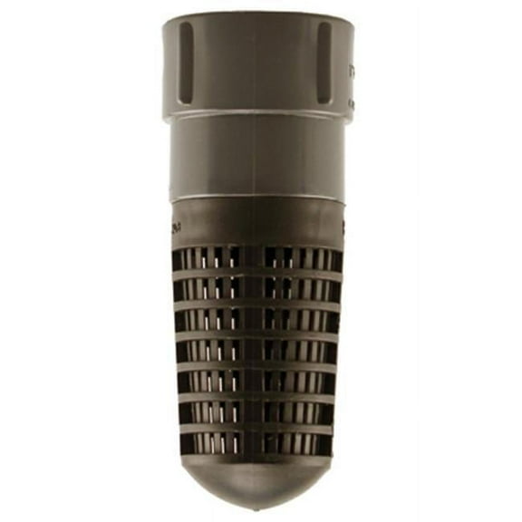 Water Source PFV075 0.75 in. Combination Plastic Foot-Check Valve