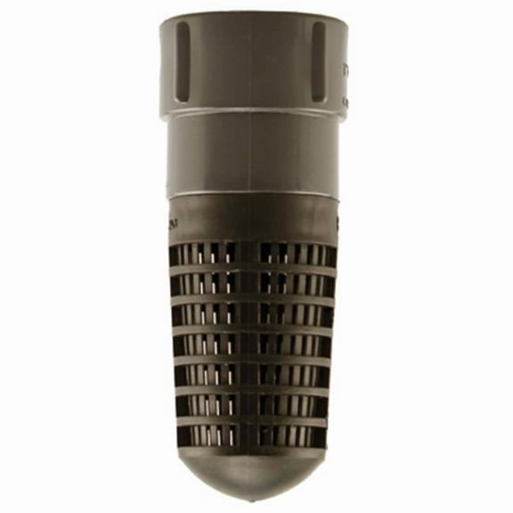 Water Source PFV100 1 in. Combination Plastic Foot And Check Valve