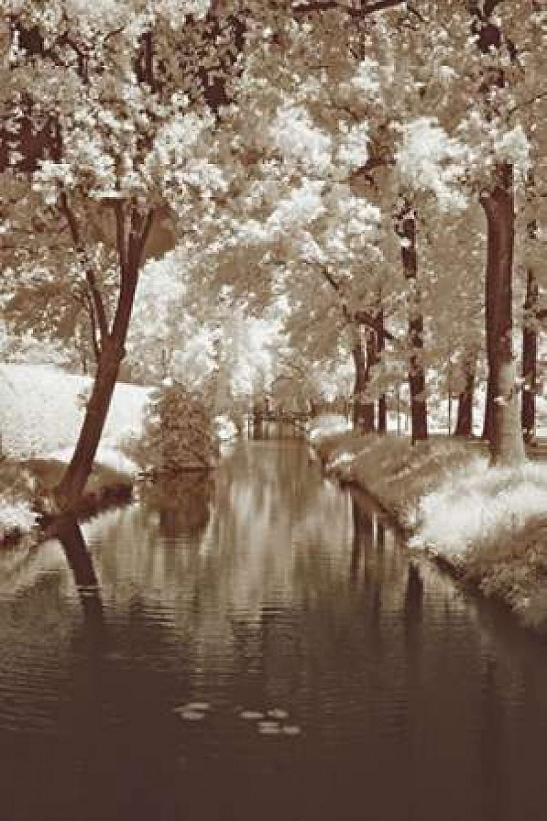 Water Under the Bridge Canvas Art - Ily Szilyagi (24 x 36)