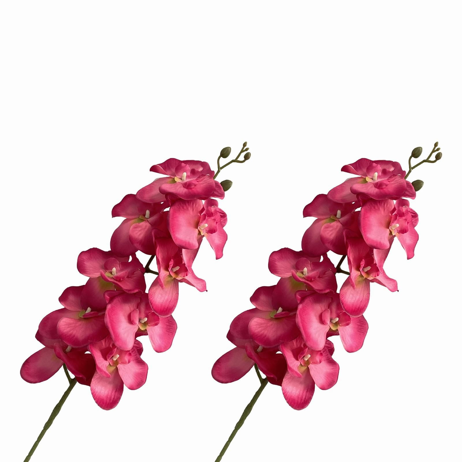 Water Velvet Phalaenopsis High Artificial Stemless Rose Flower Heads