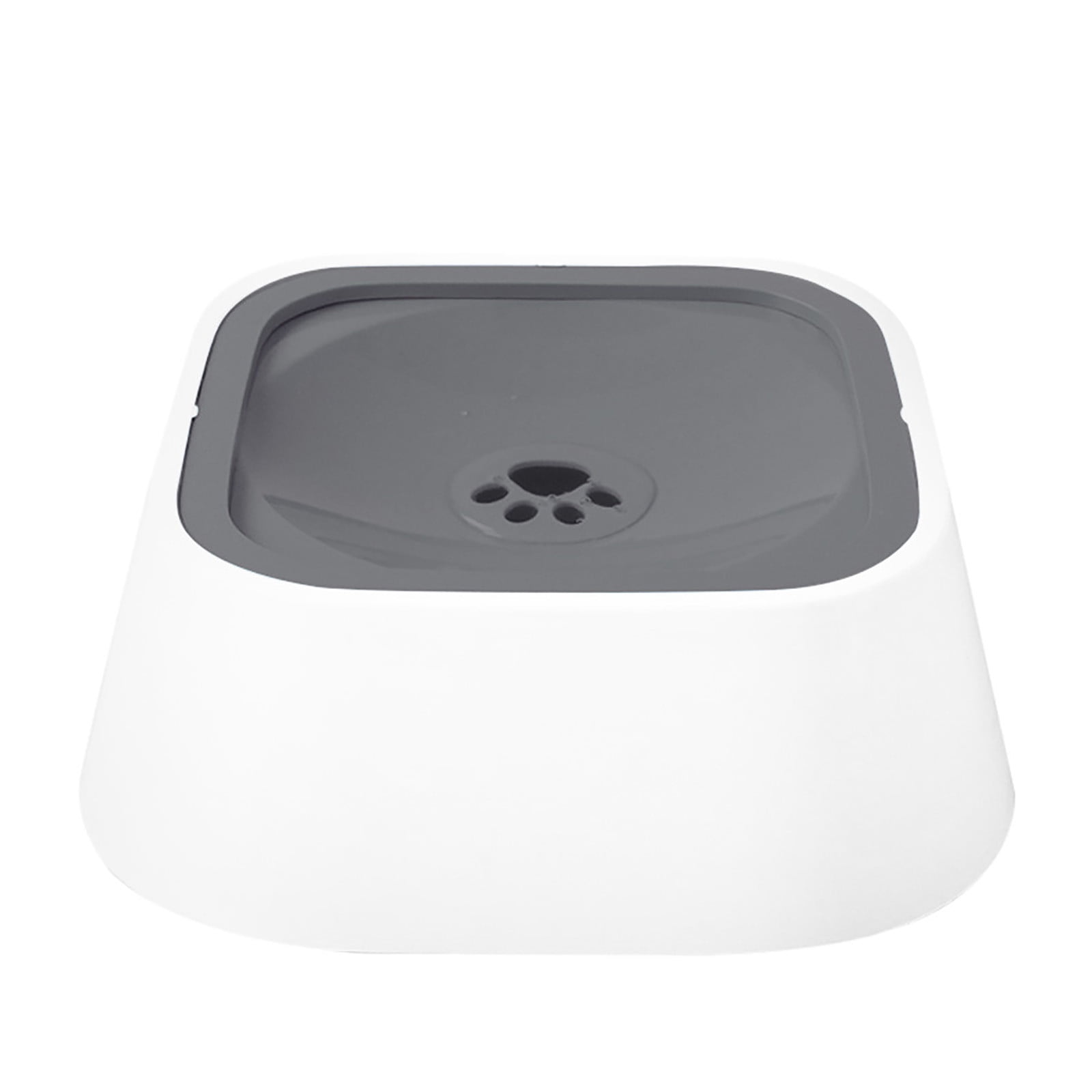 Dog Drinks Water Then Vomits visitchile.cl