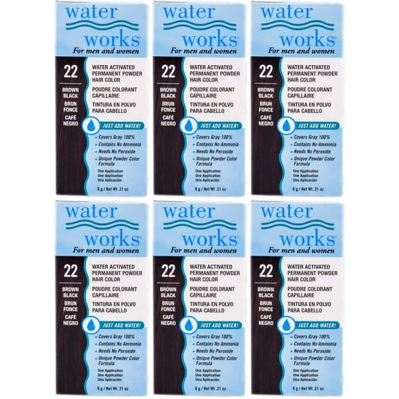 Water Works Permanent Powder Hair Color #22 Brown Black (6 Pack)