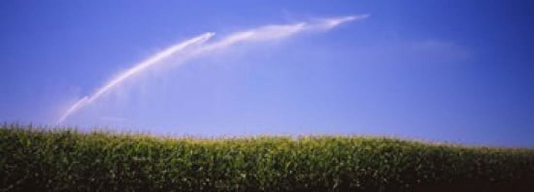 Water being sprayed on a corn field Washington State USA Canvas Art - Panoramic Images (18 x 7)