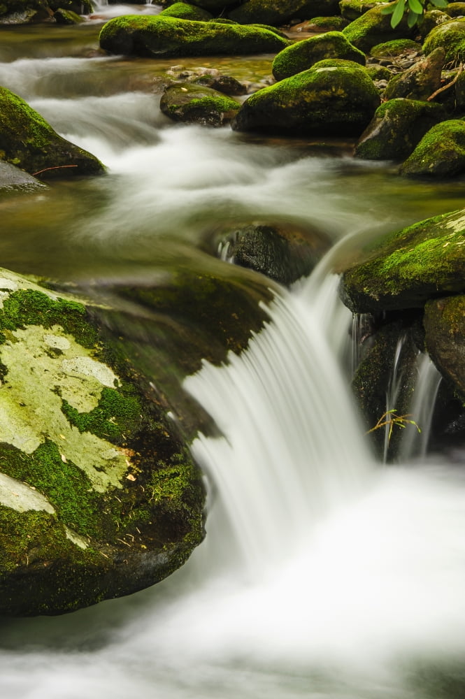 Water cascading over moss covered rocks great smoky mountains national parkTennessee united states of america Canvas Art - Tom Patrick Design Pics (12 x 19)