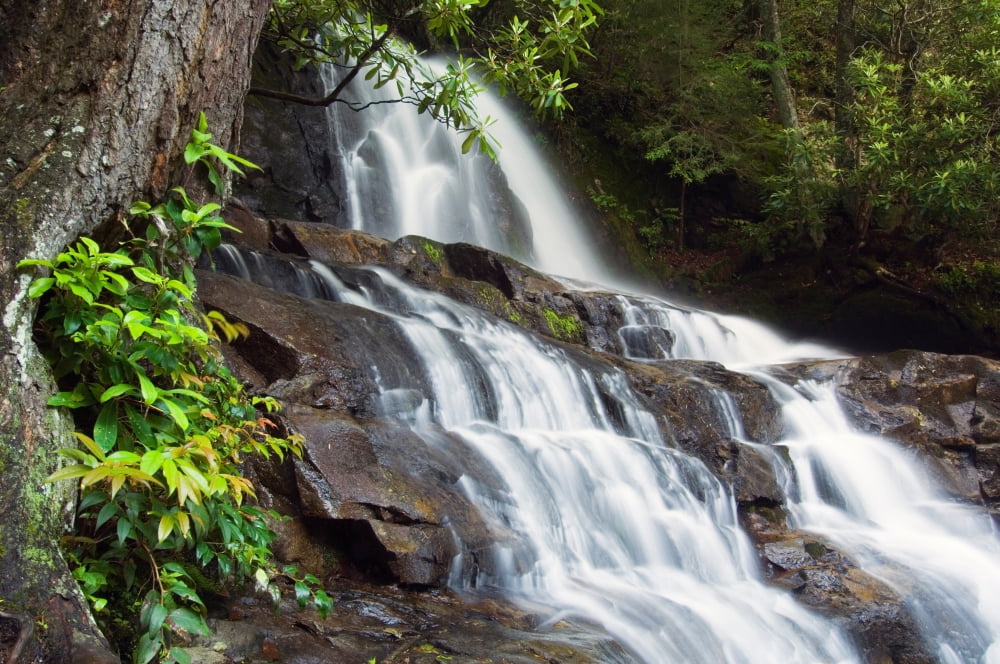 Water cascading over rocky cliffs Laurel Creek Falls Great Smoky Mountains National Park Tennessee USA Canvas Art - Panoramic Images (12 x 36)