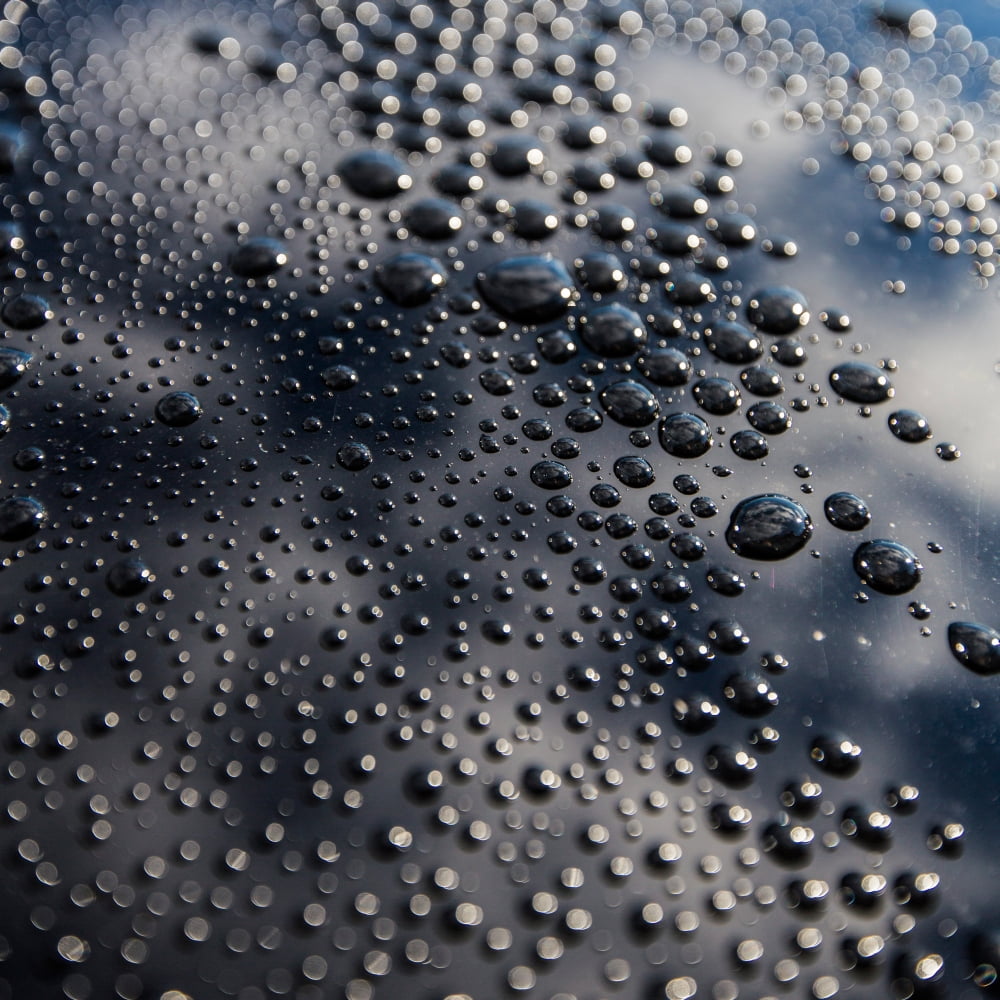 Water droplets Canvas Art - Panoramic Images (24 x 24)
