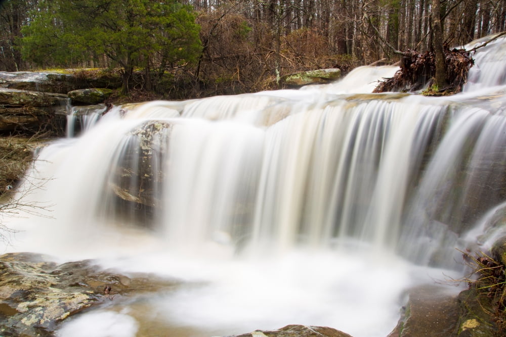 Water falling from rocks in a forest Burden Falls Shawnee National Forest Pope County Illinois USA Canvas Art - Panoramic Images (24 x 36)