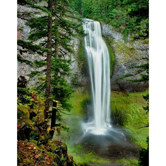 Water falling into a creek Salt Creek Falls Salt Creek Willamette National Forest Lane County Oregon USA Print by