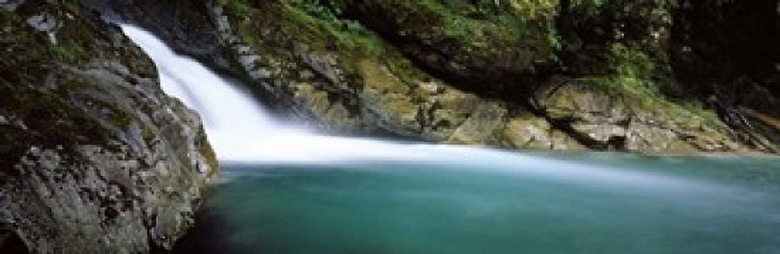Water falling into a river Falls Creek Hollyford River Fiordland National Park South Island New Zealand Canvas Art - Panoramic Images (18 x 6)