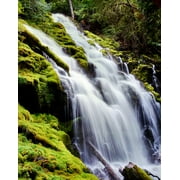Water falling from rocks in a forest, Upper Proxy Falls, Willamette National Forest, Lane County, Oregon, USA Poster Print by Panoramic Images (14 x 11)