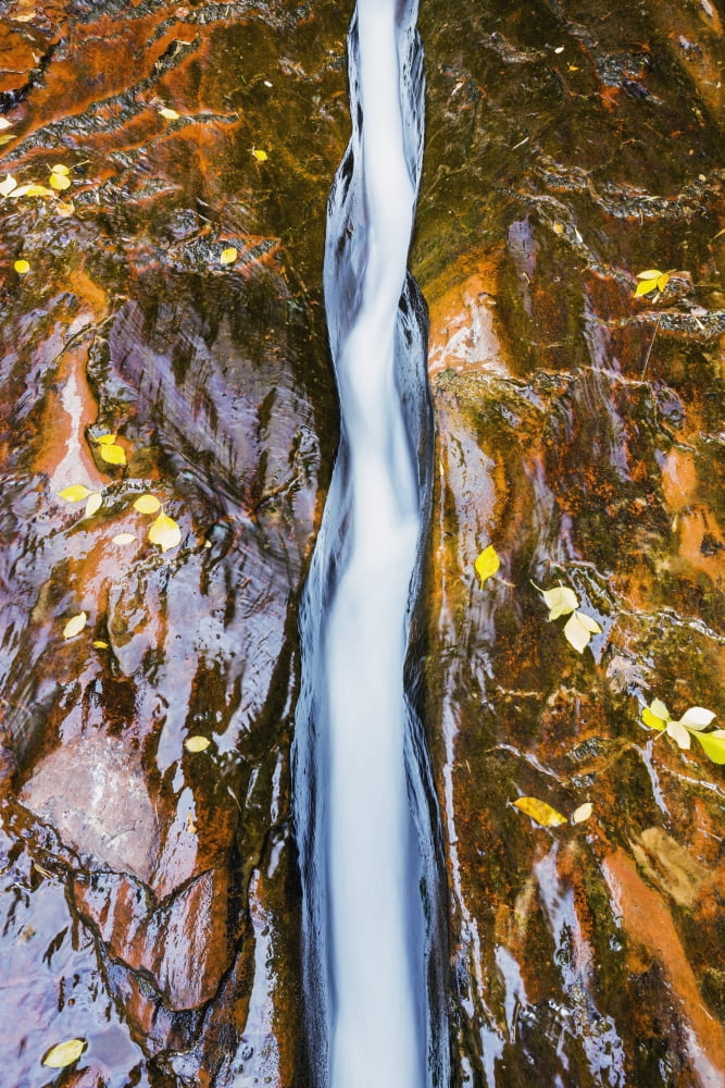 Water flowing in beautiful stone rivet along the subway trail in zion national parkUtah united states of america Canvas Art - MakenaStockMedia Design Pics (12 x 19)