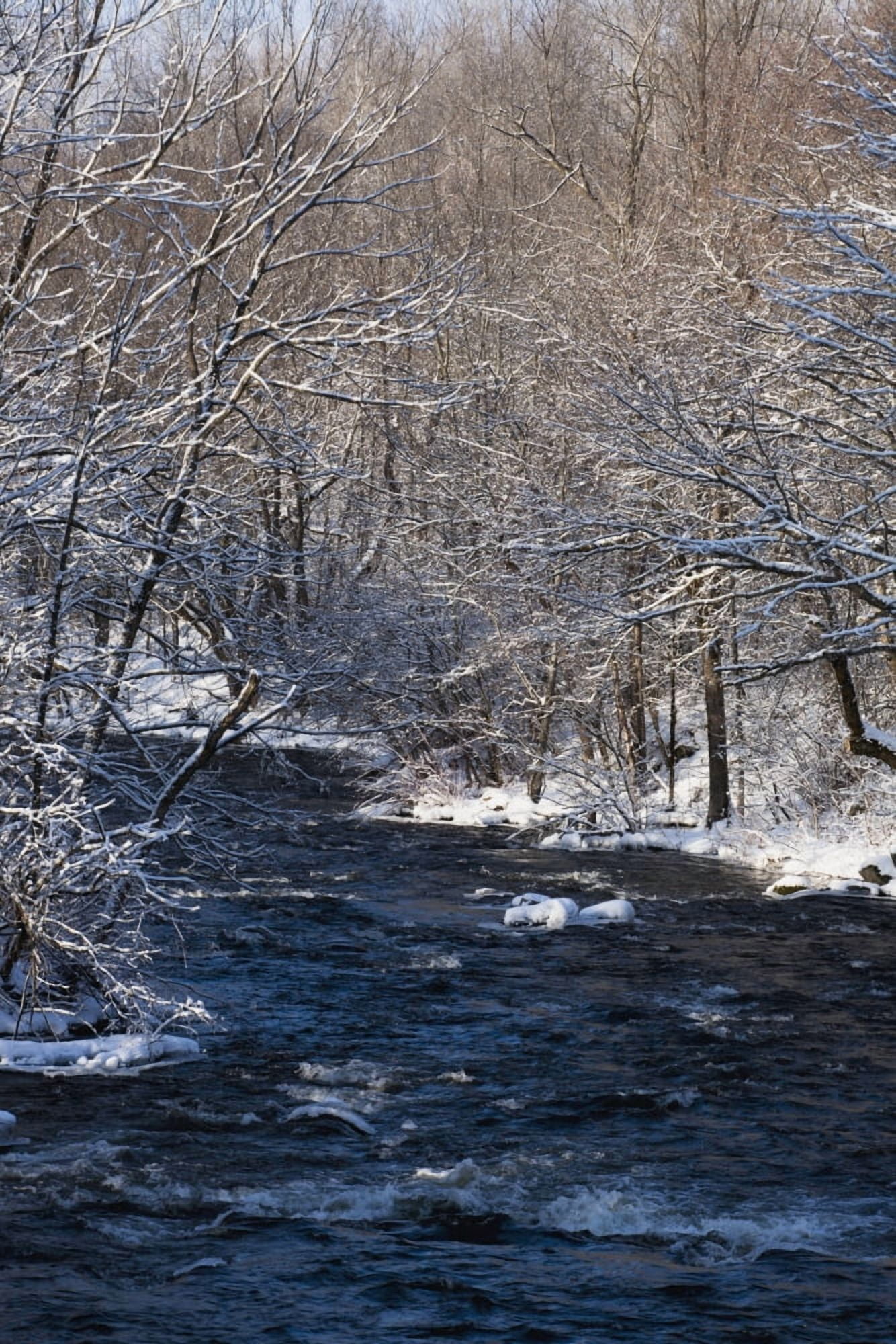 Water flowing in a river with snow covered shoreline Fulford Quebec Canada Canvas Art - David Chapman Design Pics (12 x 19)
