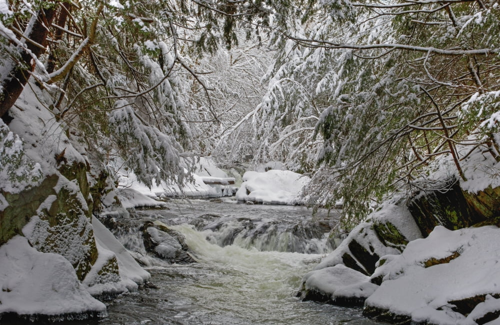 Water flowing in a river with snow covered shoreline Fulford Quebec Canada Canvas Art - David Chapman Design Pics (19 x 12)