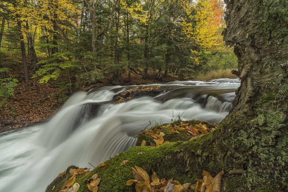 Water flowing over Skeleton Falls in autumn near Bracebridge Ontario Canada Canvas Art - Robert Postma Design Pics (19 x 12)