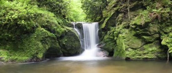 Water in a forest Geroldsau Waterfall Black Forest Baden-Wurttemberg Germany Canvas Art - Panoramic Images (30 x 13)